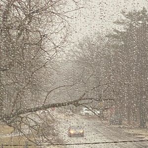 Meet your Posher, Edwin